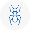 Ant Removals In Kilsyth