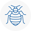 Bed Bug Extermination In Kilsyth