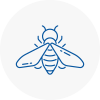 Bee Nest Removal Kilsyth