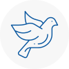 Bird Prevention Kilsyth