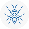 Kilsyth Hornet Nest Removals