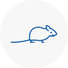 Mice Exterminators In Kilsyth