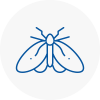 Moth Control Specialists In Kilsyth