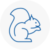 Kilsyth Rodent Removals